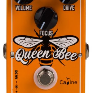 Caline CP-503 – Queen Bee Overdrive